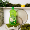 Organic Dishwashing Green Liquid - 500ml