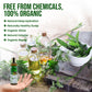 Herbal products on a wooden surface with greenery, promoting organic and natural hair care.